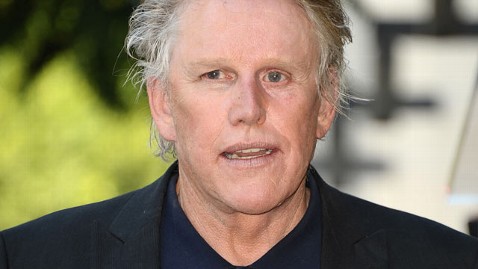 What Did Gary Busey Look Like Before His Accident
