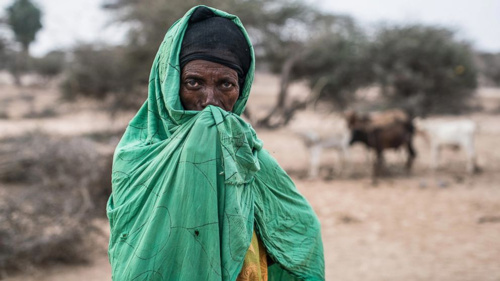 PHOTO: IDPs (Internally Displaced People) like Xasna Dahir have set up temporary camp outside Geerisa, one of the epicenters of the severe drought that hit northwestern Somalia last Spring. 