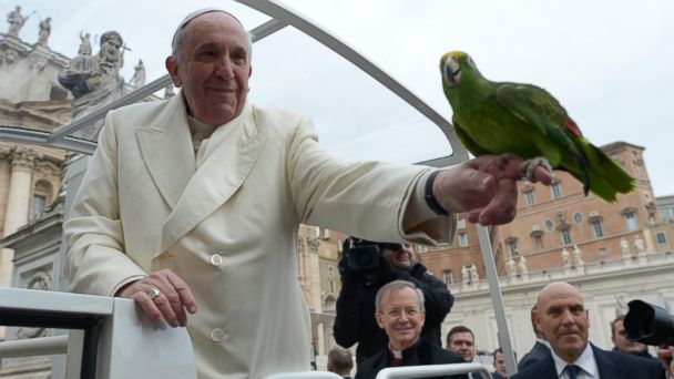 ap Francis Bird ac 140130 16x9 608 Pope Francis Gladly Blesses Parrot Belonging to Male Stripper