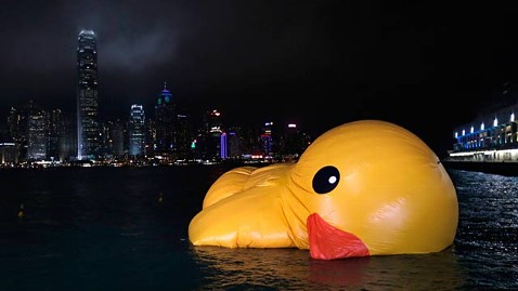 Rubber Ducky, You're (Not) The One. Hong Kong Quacker Spawns