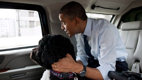ht president barack obama dog bo ll 120130 wblog Dogs Against Romney ...