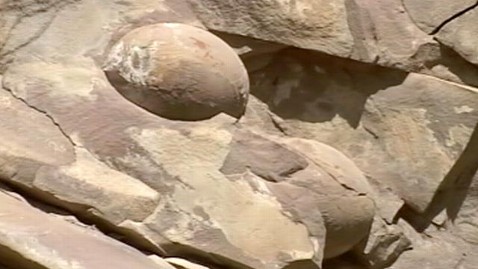 abc dinosaur eggs jef 120417 wblog Huge Dinosaur Eggs Found in Chechnya,Scientists Claim
