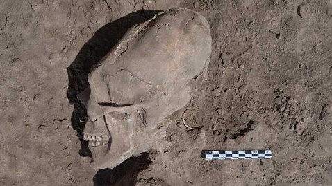 Alien Skulls Found in Mexico