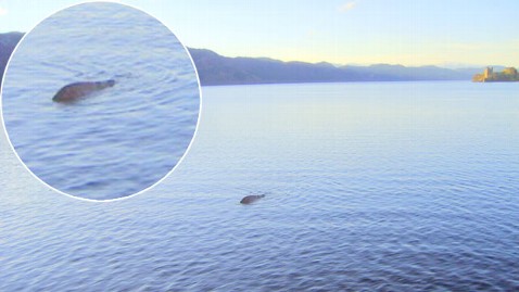 opblijven Inactief binnenkort Scottish Sailor Claims To Have Best Picture Yet Of Loch Ness Monster - ABC  News