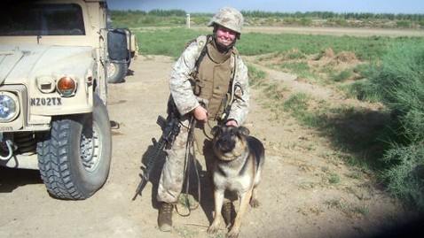 Military Dog Sgt. Rex Returned to Handler After 6 Years - ABC News