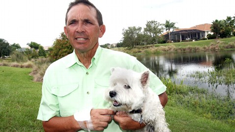 Grandfather Wrestles Gator to Save Dog  ABC News