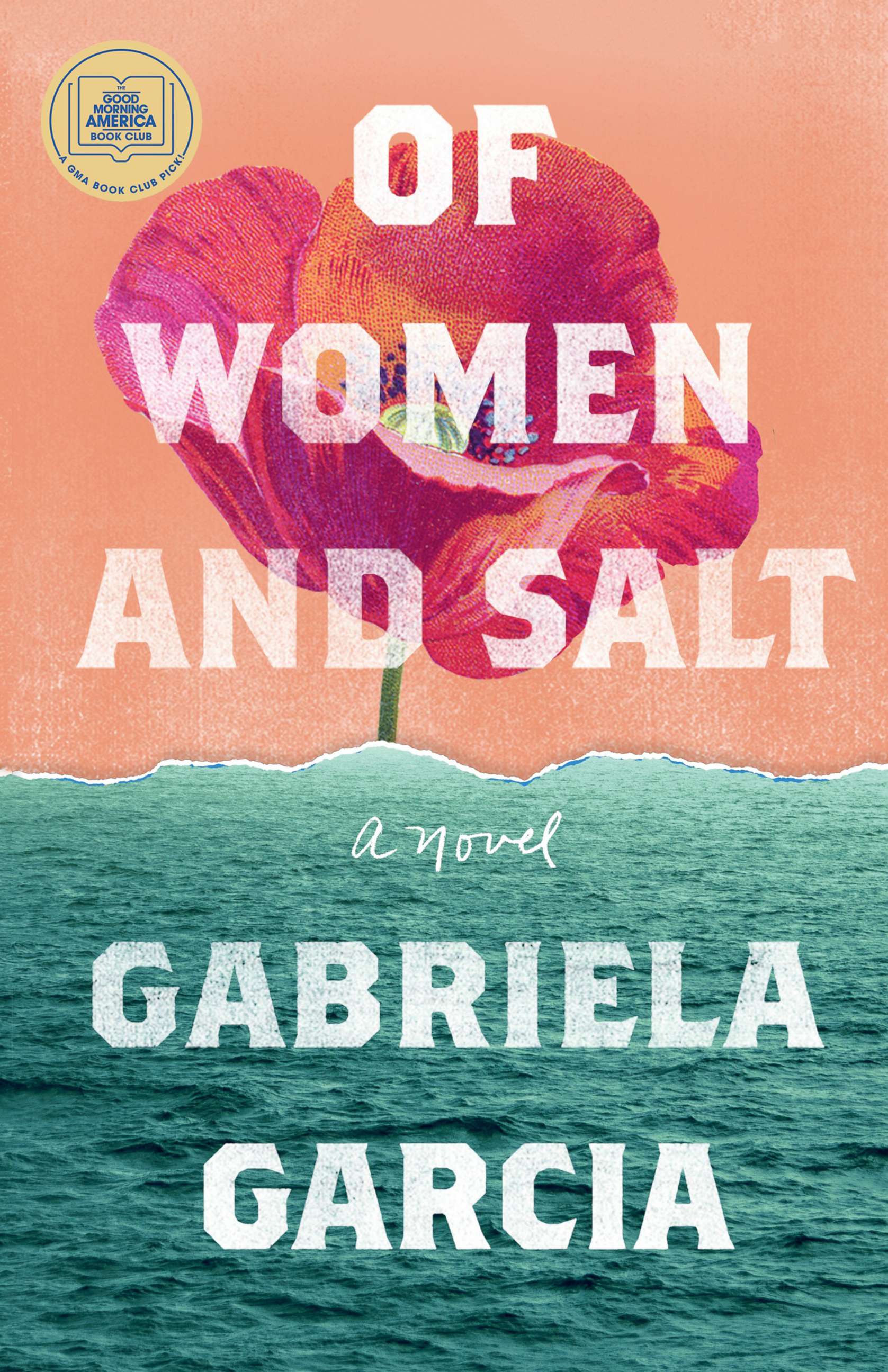 'Of Women and Salt' by Gabriela Garcia