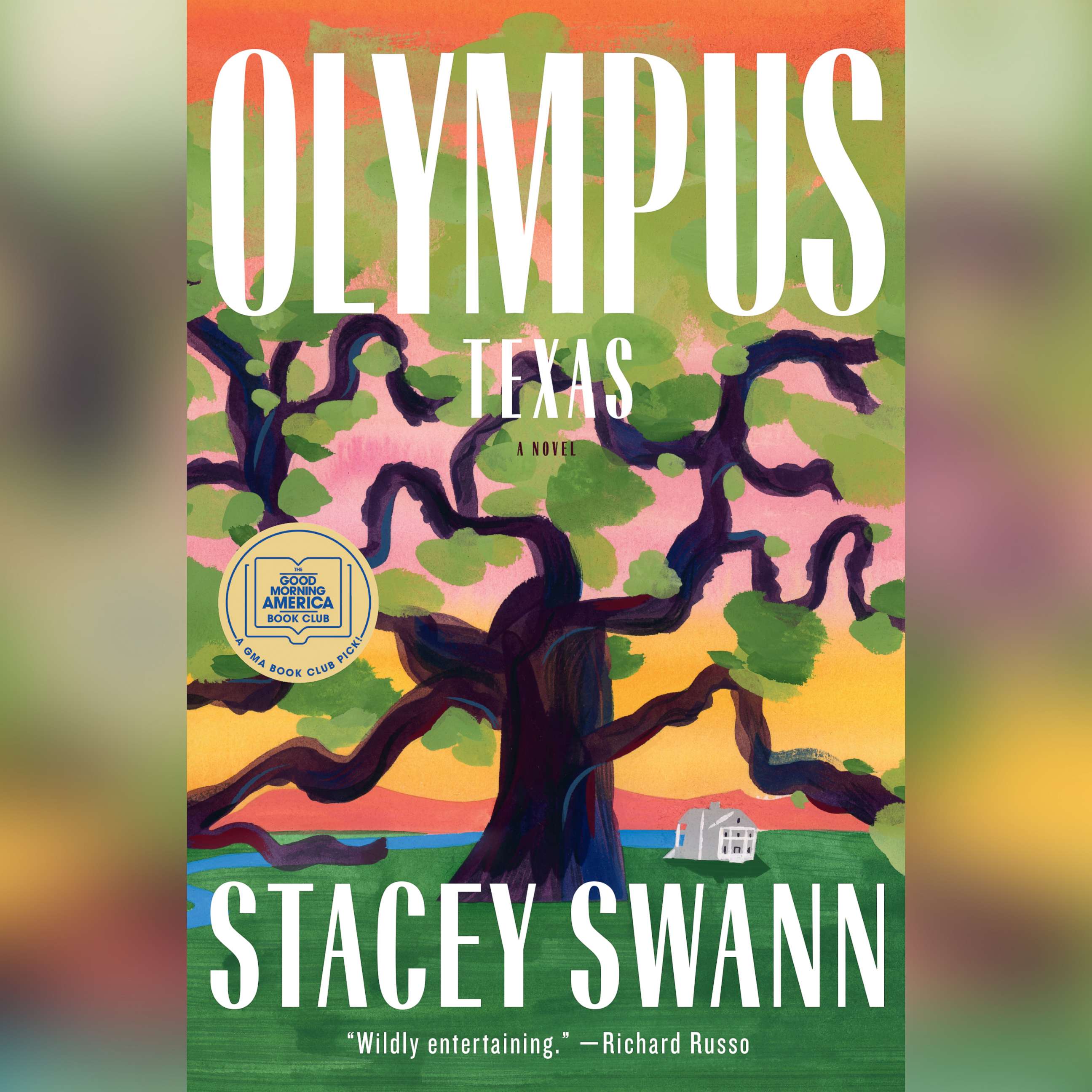 'Olympus, Texas' by Stacey Swann