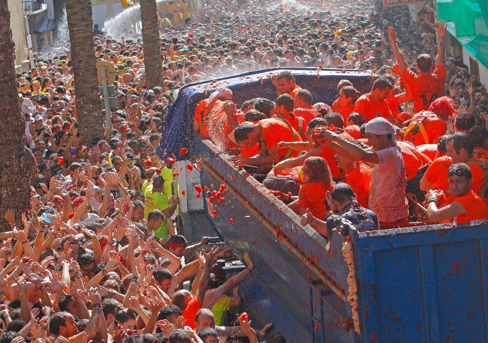 Tomatina The World's Largest Tomato Fight Photos ABC News