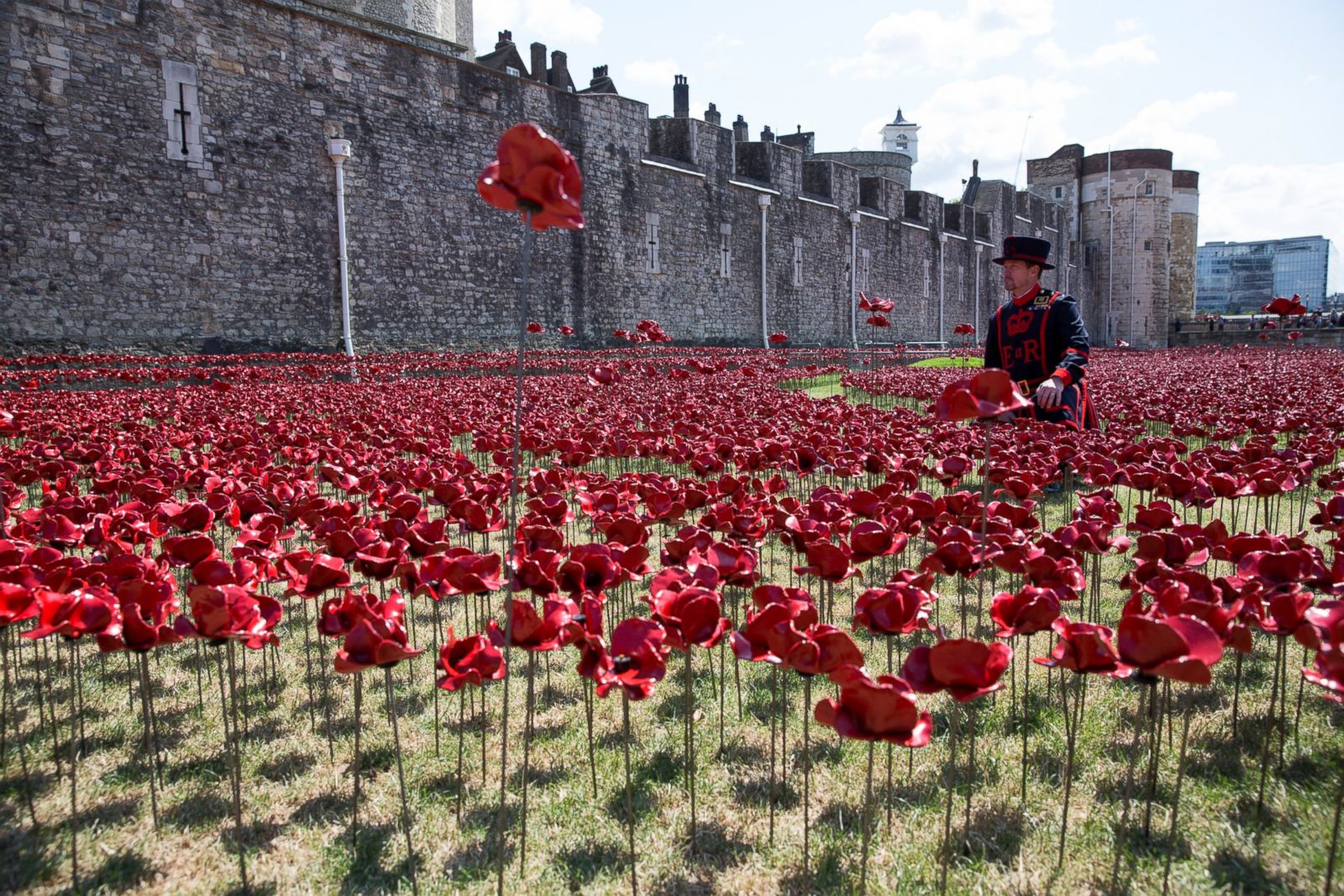 Tower of London's Evolving Poppy Art Installation Photos Image 41