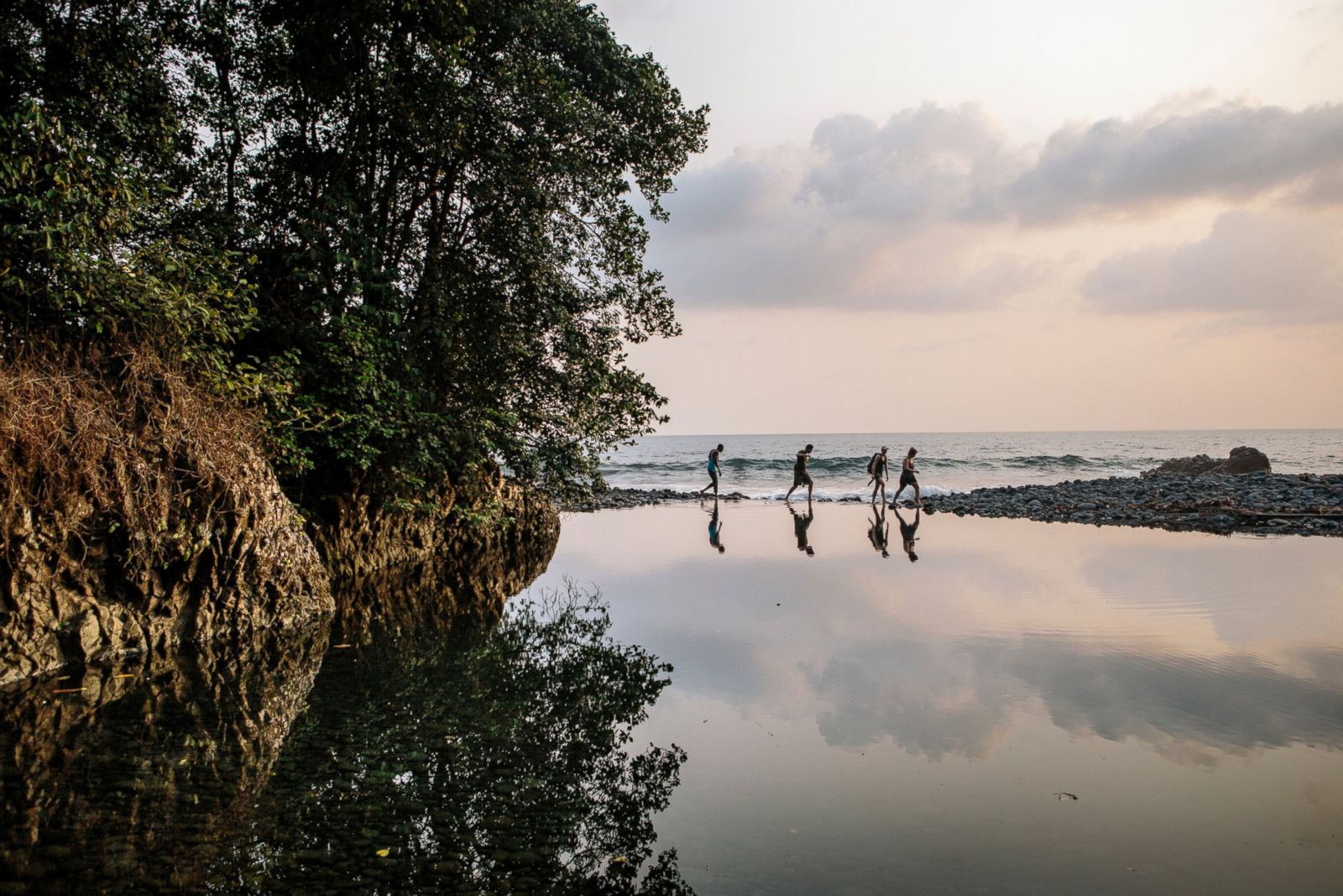 Paradise Found Rare And Elusive Birds Of Bioko Island Photos ABC News   HT EARTHDAY Spinski 01 Hb 170418 3x2 1600 