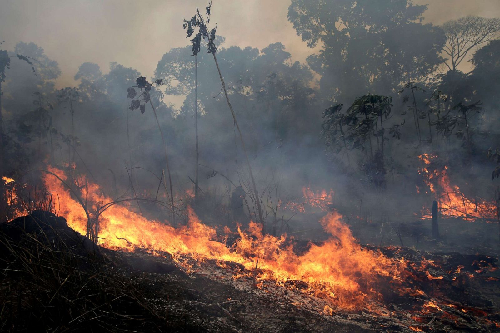 PHOTOS: The burning Amazon rainforest Photos | Image #51 - ABC News