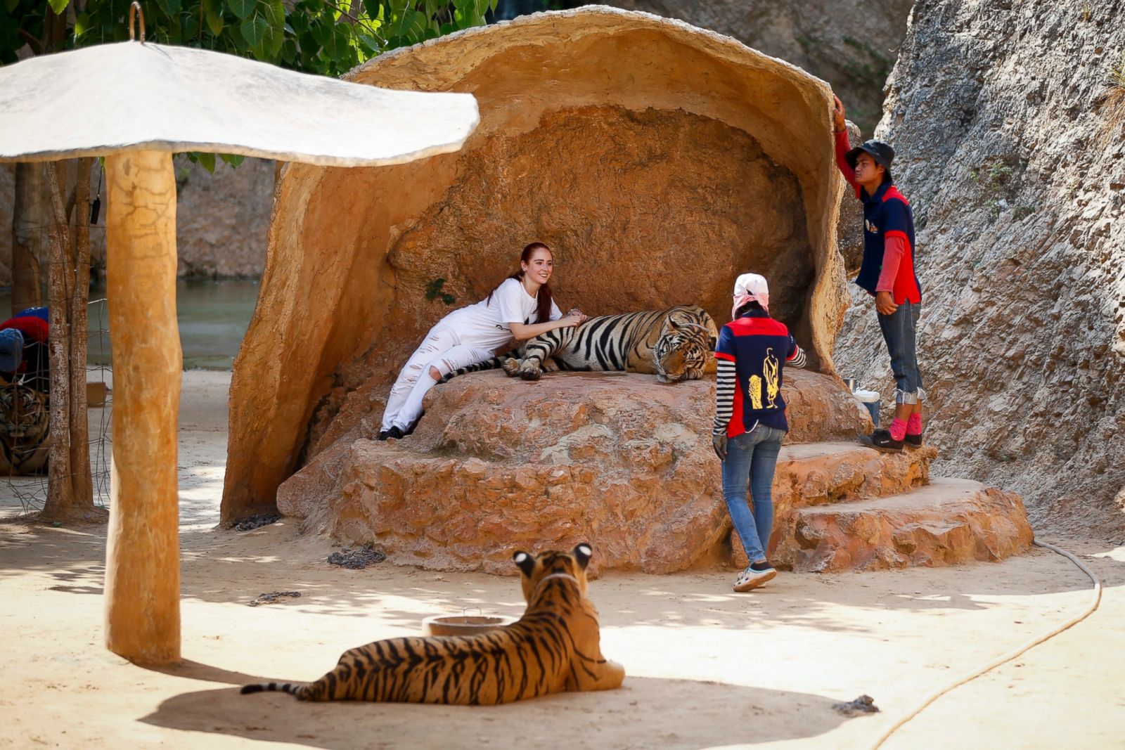 tiger temple visit