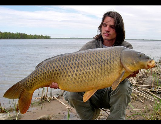 French fisherman with a passion for very big fish Photos - ABC News