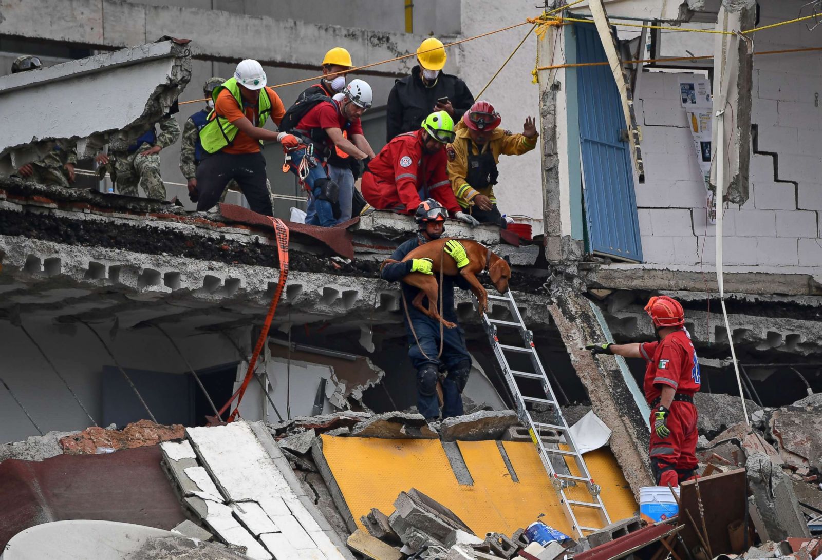 Pictures from the Mexico earthquake and the race for survival Photos ...