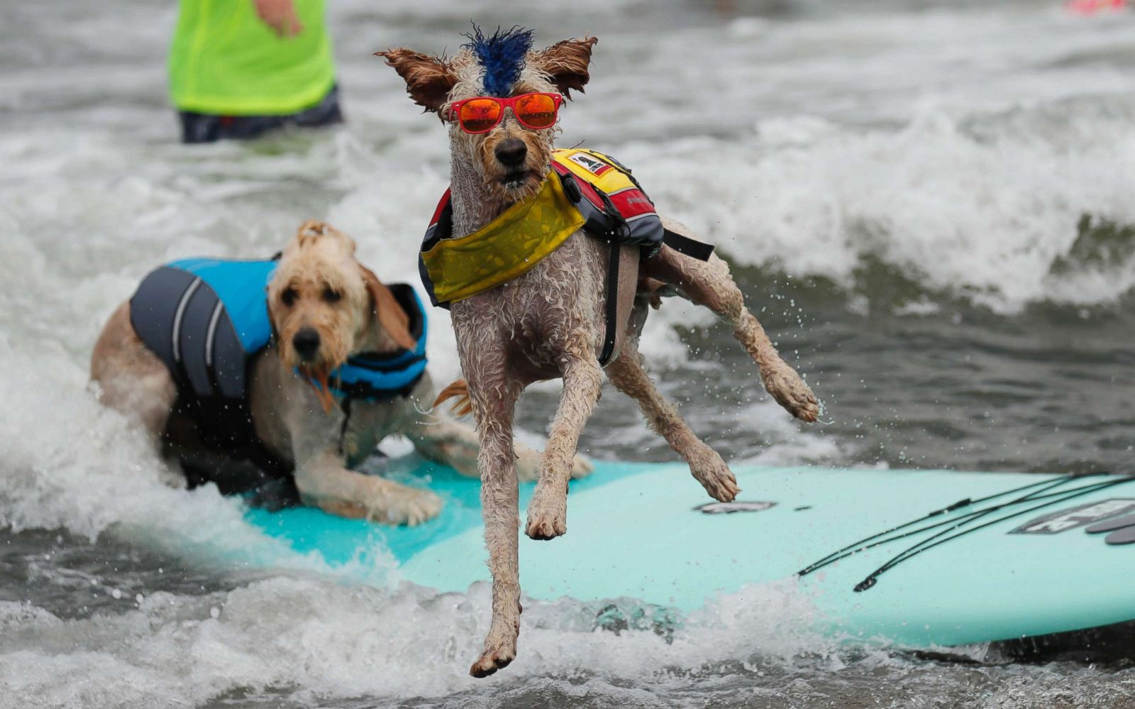 Celebrating summer in pictures Photos Image 191 ABC News