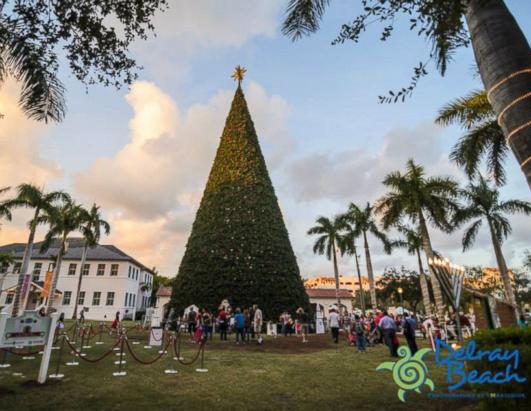 11 Other Famous Christmas Trees Photos - ABC News