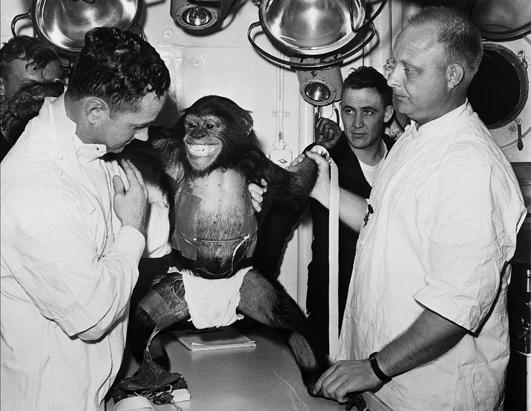 Chimps, the First Space Explorers Before Mercury Astronauts Photos ...