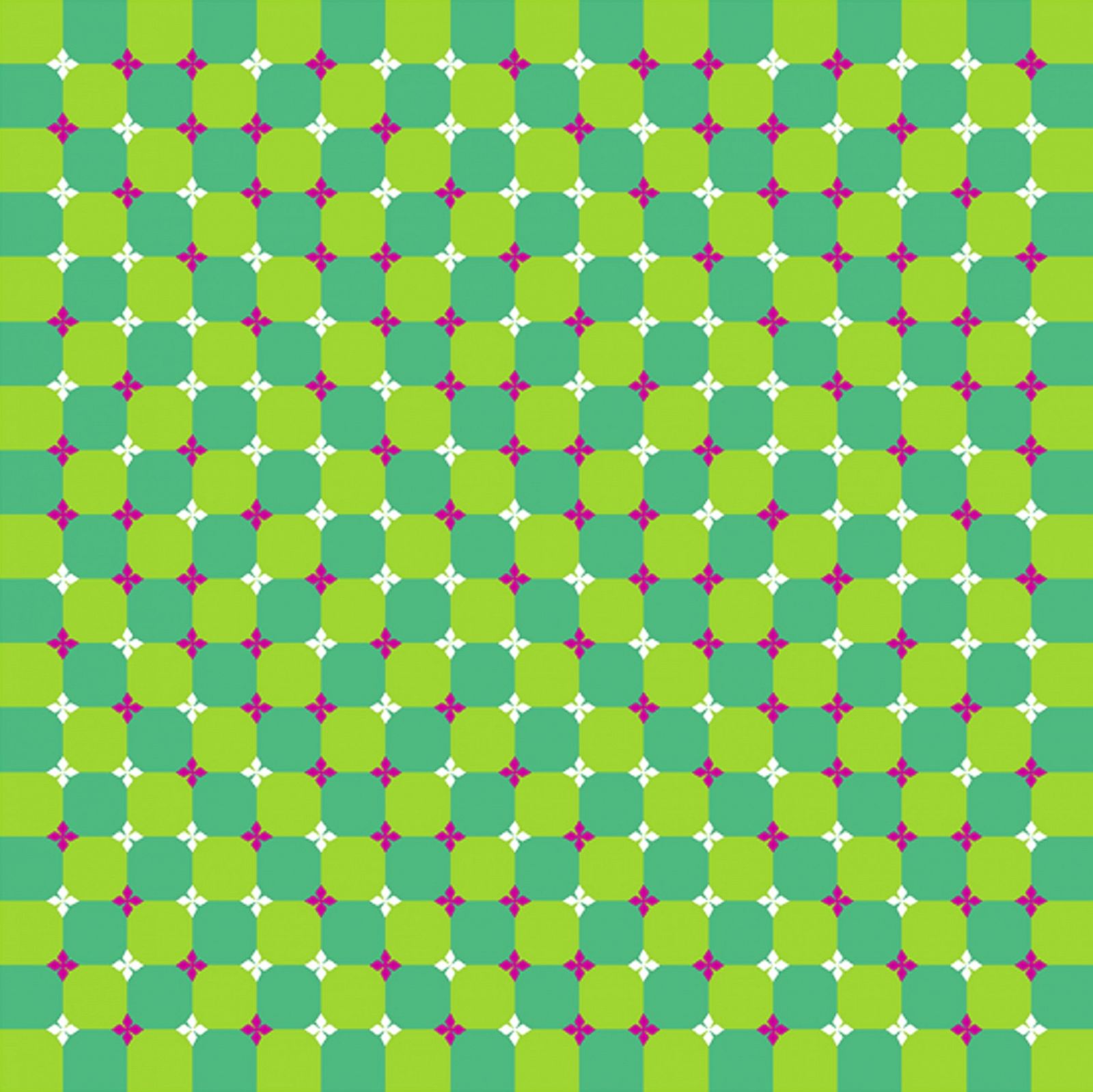 Optical Illusions That Will Blow Your Mind Photos Abc News 