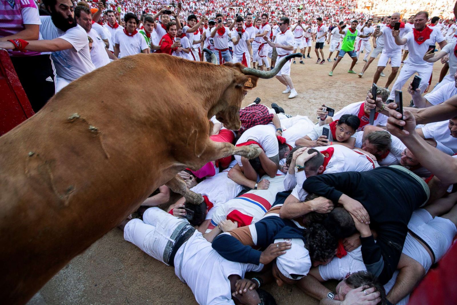 Running With The Bulls Pamplona 2024 Venus Jeannine