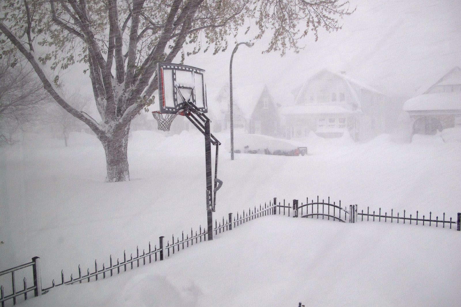 Buffalo Buried By Wall Of Snow Photos - ABC News