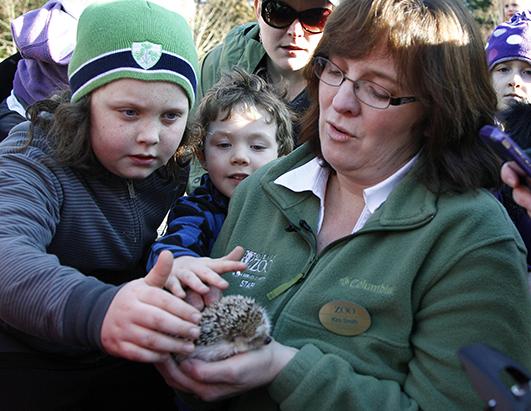 Famous Weather Predicting Groundhogs Picture | Meet Your Regional