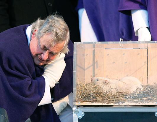 Famous Weather Predicting Groundhogs Picture | Meet Your Regional